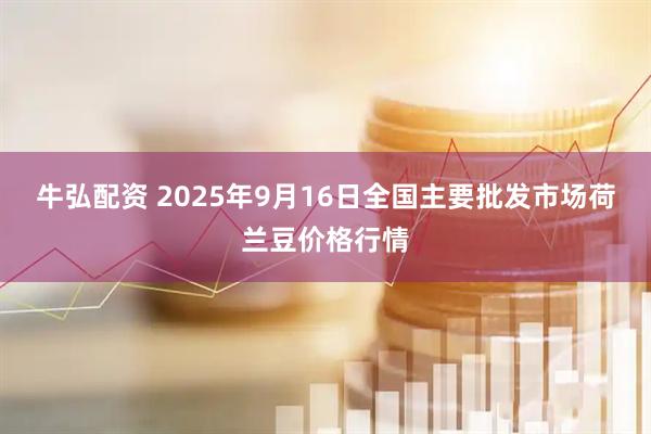 牛弘配资 2025年9月16日全国主要批发市场荷兰豆价格行情