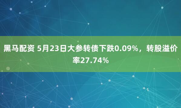 黑马配资 5月23日大参转债下跌0.09%，转股溢价率27.74%