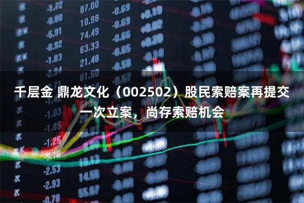 千层金 鼎龙文化（002502）股民索赔案再提交一次立案，尚存索赔机会