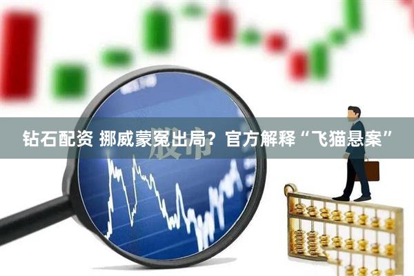 钻石配资 挪威蒙冤出局？官方解释“飞猫悬案”